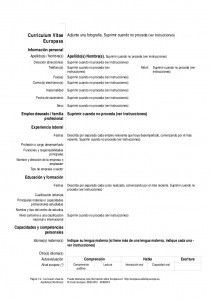 Base curriculum europass